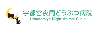 宇都宮夜間どうぶつ病院